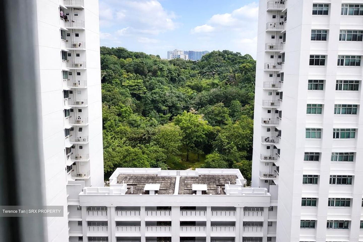 Blk 70C Telok Blangah Ridgeview (Bukit Merah), HDB 4 Rooms #520413551